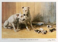 BULL TERRIER ENGLISH DOG FINE ART PRINT - "A Matter of Colour" by Gifford Ambler for sale  Shipping to South Africa