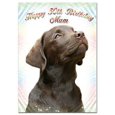 299 brown labrador for sale  COVENTRY