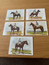 Race horses south for sale  BEXHILL-ON-SEA