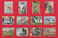 Poster stamps antartic gebraucht kaufen  Versand nach Germany