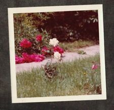 Vintage photograph beautiful for sale  Greeley