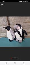 Plush penguins ravensden for sale  COVENTRY