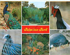 Cartão postal com foto__Gran Canaria, Palmitos Park, Maspalomas, pássaros comprar usado  Enviando para Brazil