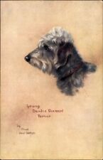 Used, Artist Ak West Watson, Maud, Young Dandie Dinmont Terrier,... - 4163109 for sale  Shipping to South Africa