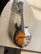 Ashbury mandolin electric for sale  NEWTON ABBOT