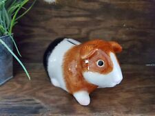 pig guinea baby for sale  Spokane