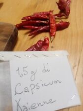 semi peperoncino usato  Milano