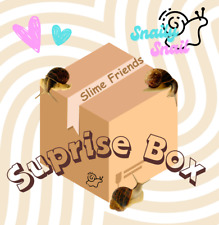 Surprise lot box for sale  Murrieta