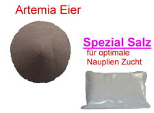 Artemia eier nauplien gebraucht kaufen  Zenting