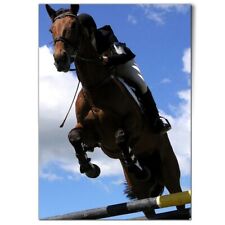 Horse jumping competition for sale  SELBY