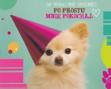 Pomeranian spitz postcard gebraucht kaufen  Parkstein