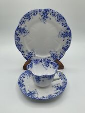 Shelley china dainty for sale  Cottage Grove
