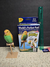 Polly parakeet perfect for sale  Rockville