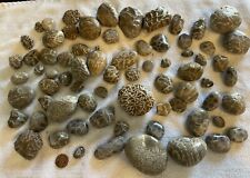 Lot Of Chain Coral Petoskey Stones Lake Michigan for sale  Shipping to South Africa