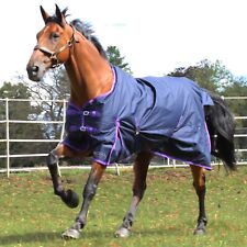 Lightweight turnout rug for sale  YORK