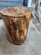 Pine tree stump for sale  Osceola