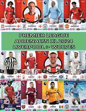 Panini premier league for sale  PLYMOUTH