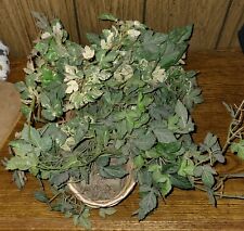 ivy fake plant for sale  Benson