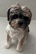 Shin tzu dog for sale  NEWTON-LE-WILLOWS