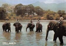Sri lanka elephants d'occasion  France