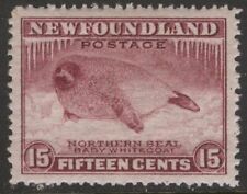 Newfoundland 195b nssc for sale  Beaverton