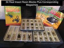Real insect resin for sale  OSSETT