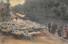 Moutons laver laine d'occasion  France
