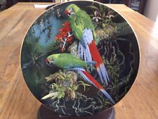 Macaw plate buffon for sale  BALLYCLARE
