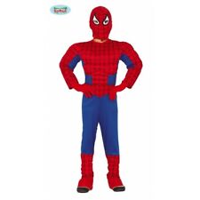 Costume carnevale spiderman usato  Lamezia Terme