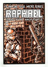 Usado, Raphael Teenage Mutant Ninja Turtles #1 Eastman primera impresión en muy buen estado + 4,5 1985 segunda mano  Embacar hacia Argentina