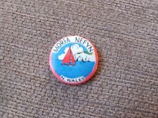 Vintage badge morfa for sale  KINGSWINFORD