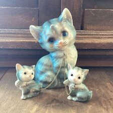 Adorable momma cat for sale  Chicago