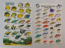Lot of 2 Reef Fish Guides: Hawaii and Florida for sale  Shipping to South Africa