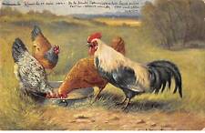 Chickens 82134 rooster d'occasion  Expédié en Belgium