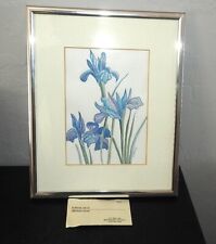Original watercolor iris for sale  Henderson
