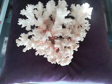 Alter korallenbaum weiss gebraucht kaufen  Mühlburg