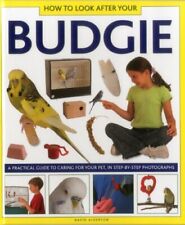 Look budgie practical for sale  UK