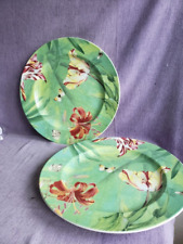 Spode floral haven gebraucht kaufen  Moisling