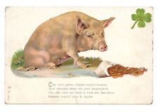 Pig. truie garnie d'occasion  Expédié en Belgium