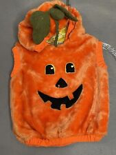 Fuzzy pumpkin infant for sale  Fort Kent