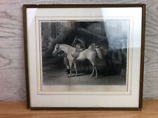 Queen horses f for sale  OKEHAMPTON