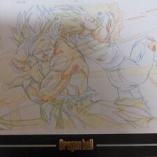Dragon Ball Son Goku Vegeta Cell Picture Original Akira Toriyama comprar usado  Enviando para Brazil