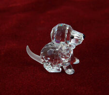 Swarovski figur hund gebraucht kaufen  Alzey