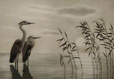 Etching Heron Lake, used for sale  Shipping to South Africa