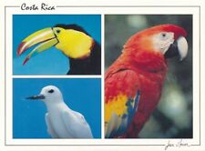 Tropical birds costa for sale  Victor
