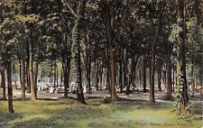 Postal Cedar Point Ohio ~ Damas en mesas en arboleda de picnic ~ Árboles altos ~ 1908 segunda mano  Embacar hacia Mexico
