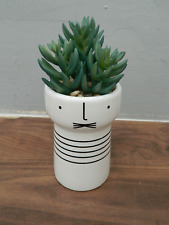 Artificial plants cat for sale  ALTON