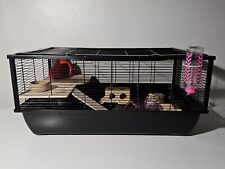 Large hamster rat for sale  TEWKESBURY