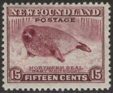 Newfoundland 262 nssc for sale  Beaverton