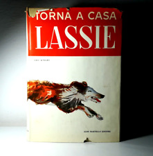Torna casa lassie usato  Italia